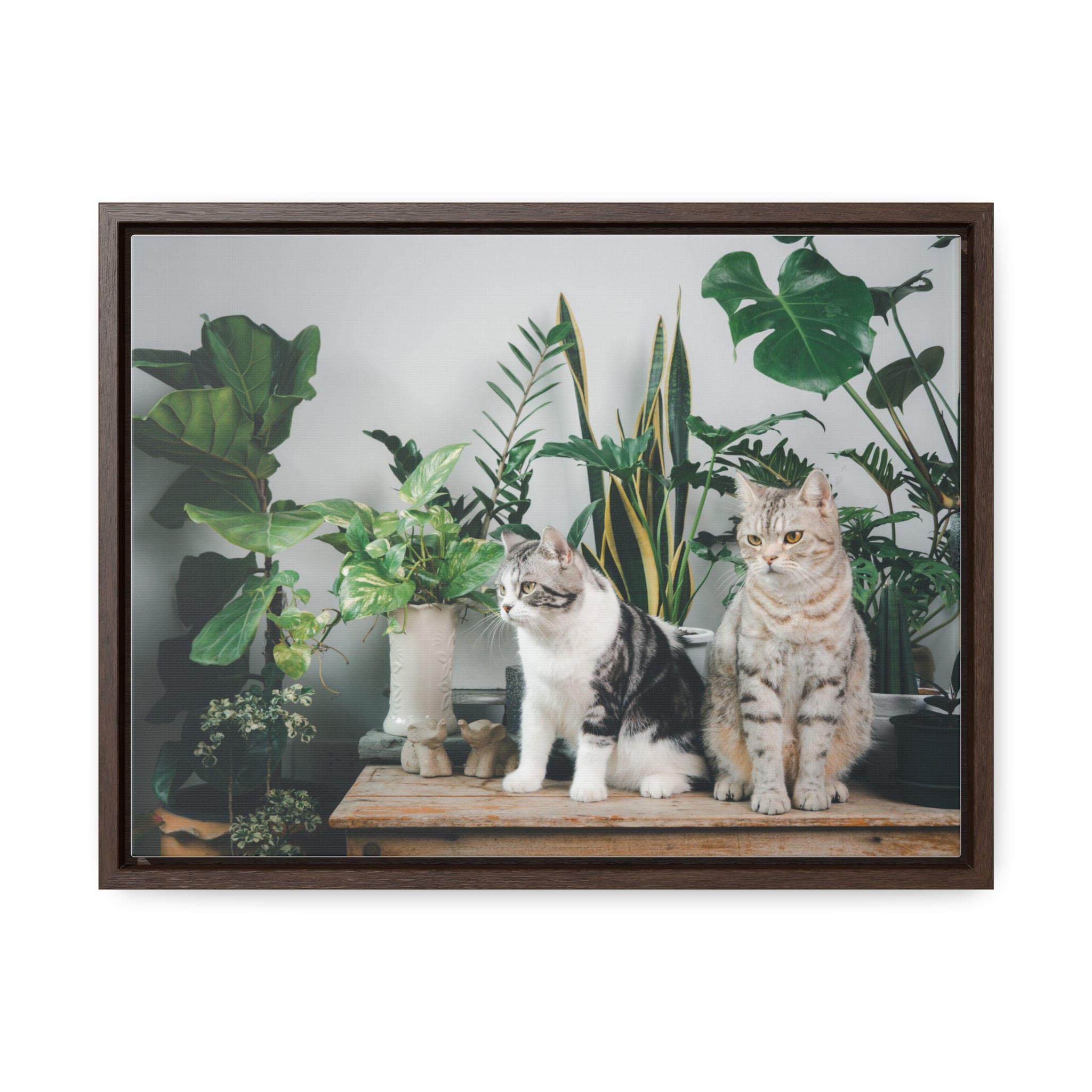 Personalized Cat Canvas Wraps, Cat Lover Canvas, Cat Lover Wall Art, Framed Pet Art for Home Decor, Gift for pet Lover, Gift for Cat Lover