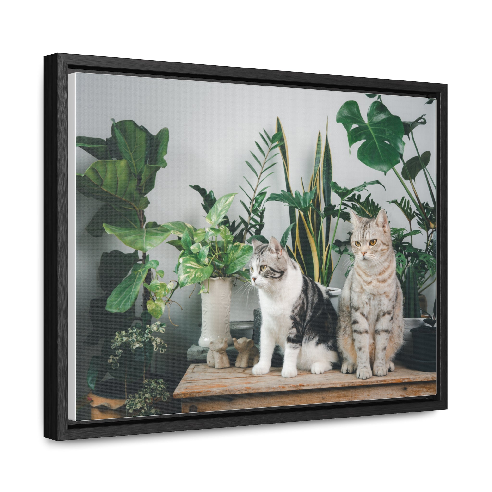 Personalized Cat Canvas Wraps, Cat Lover Canvas, Cat Lover Wall Art, Framed Pet Art for Home Decor, Gift for pet Lover, Gift for Cat Lover