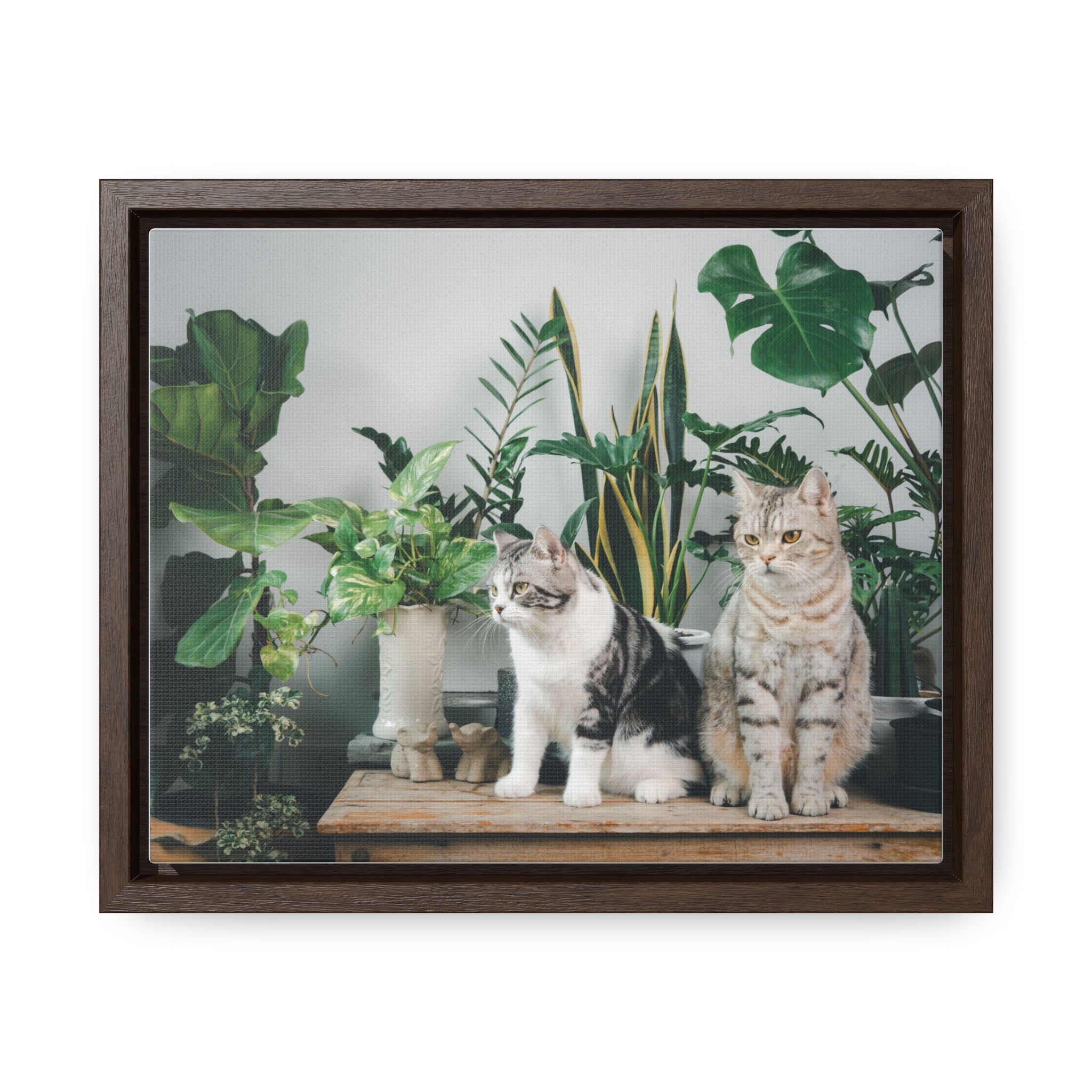 Personalized Cat Canvas Wraps, Cat Lover Canvas, Cat Lover Wall Art, Framed Pet Art for Home Decor, Gift for pet Lover, Gift for Cat Lover