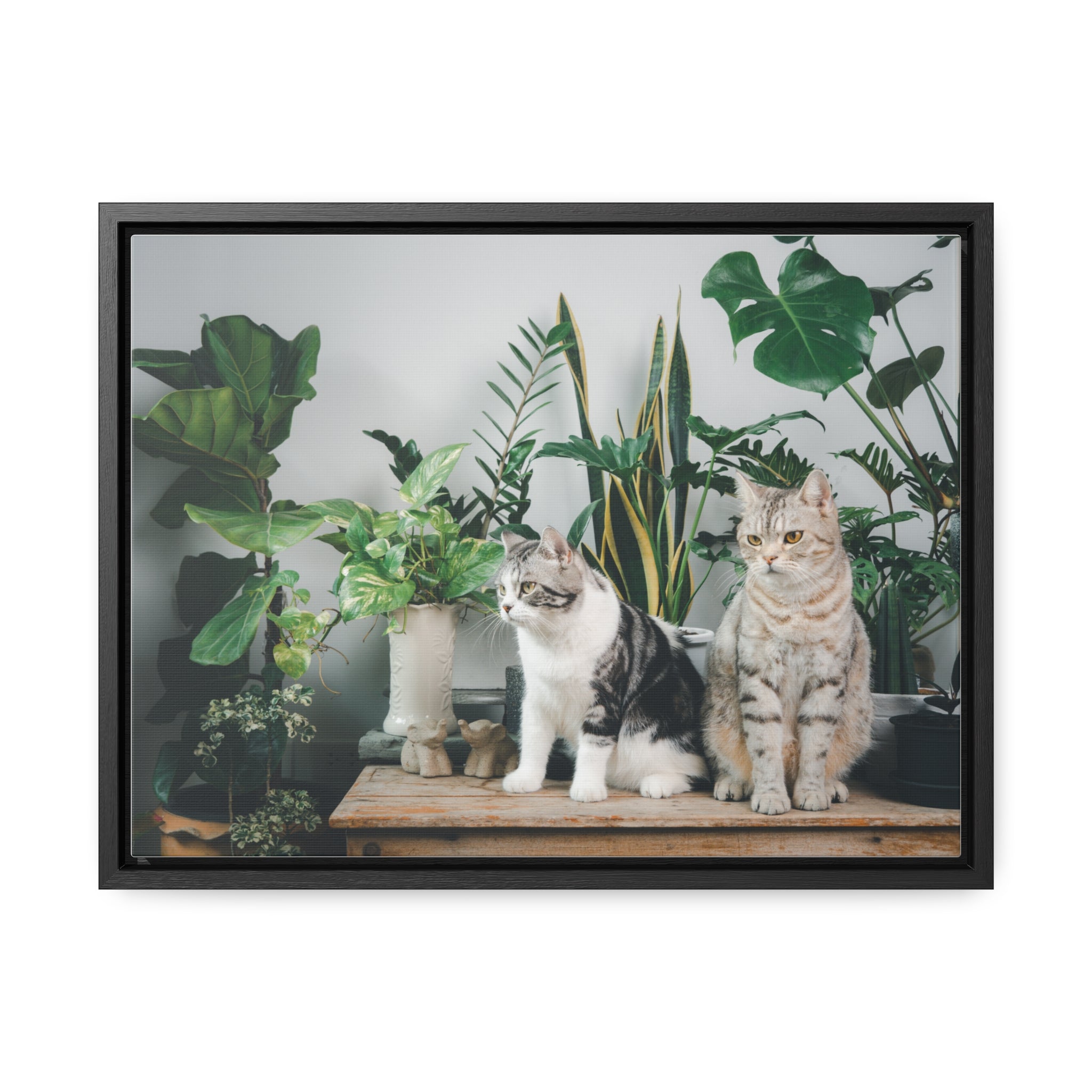 Personalized Cat Canvas Wraps, Cat Lover Canvas, Cat Lover Wall Art, Framed Pet Art for Home Decor, Gift for pet Lover, Gift for Cat Lover