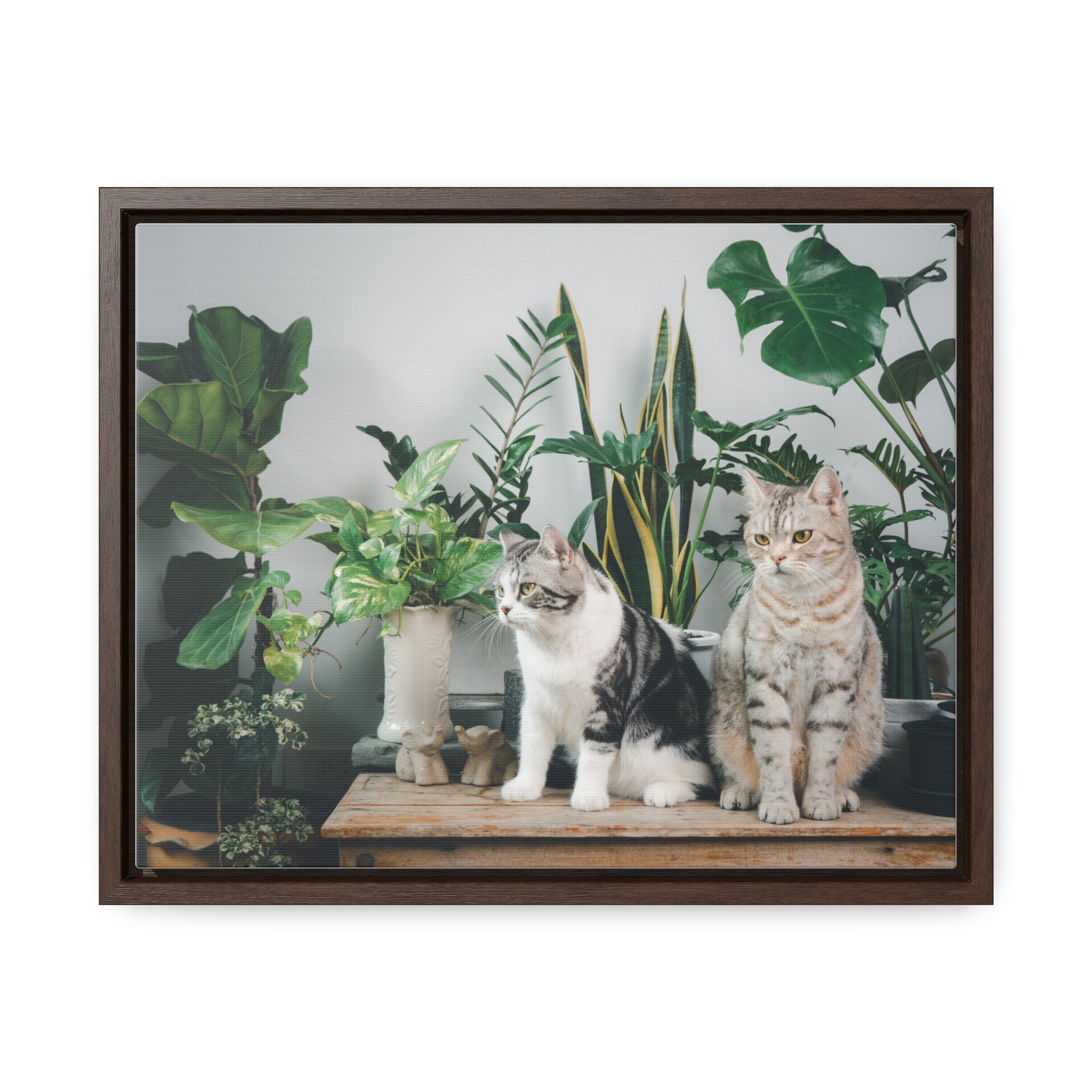 Personalized Cat Canvas Wraps, Cat Lover Canvas, Cat Lover Wall Art, Framed Pet Art for Home Decor, Gift for pet Lover, Gift for Cat Lover