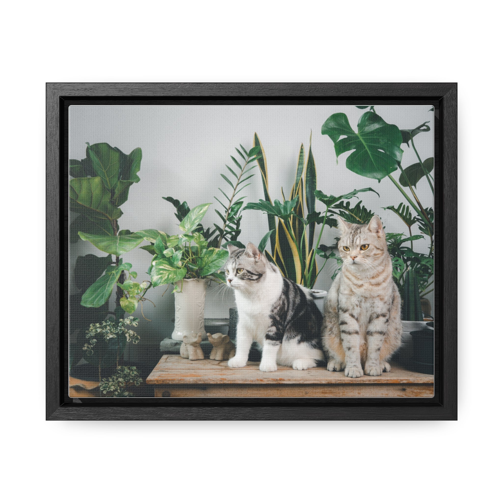 Personalized Cat Canvas Wraps, Cat Lover Canvas, Cat Lover Wall Art, Framed Pet Art for Home Decor, Gift for pet Lover, Gift for Cat Lover