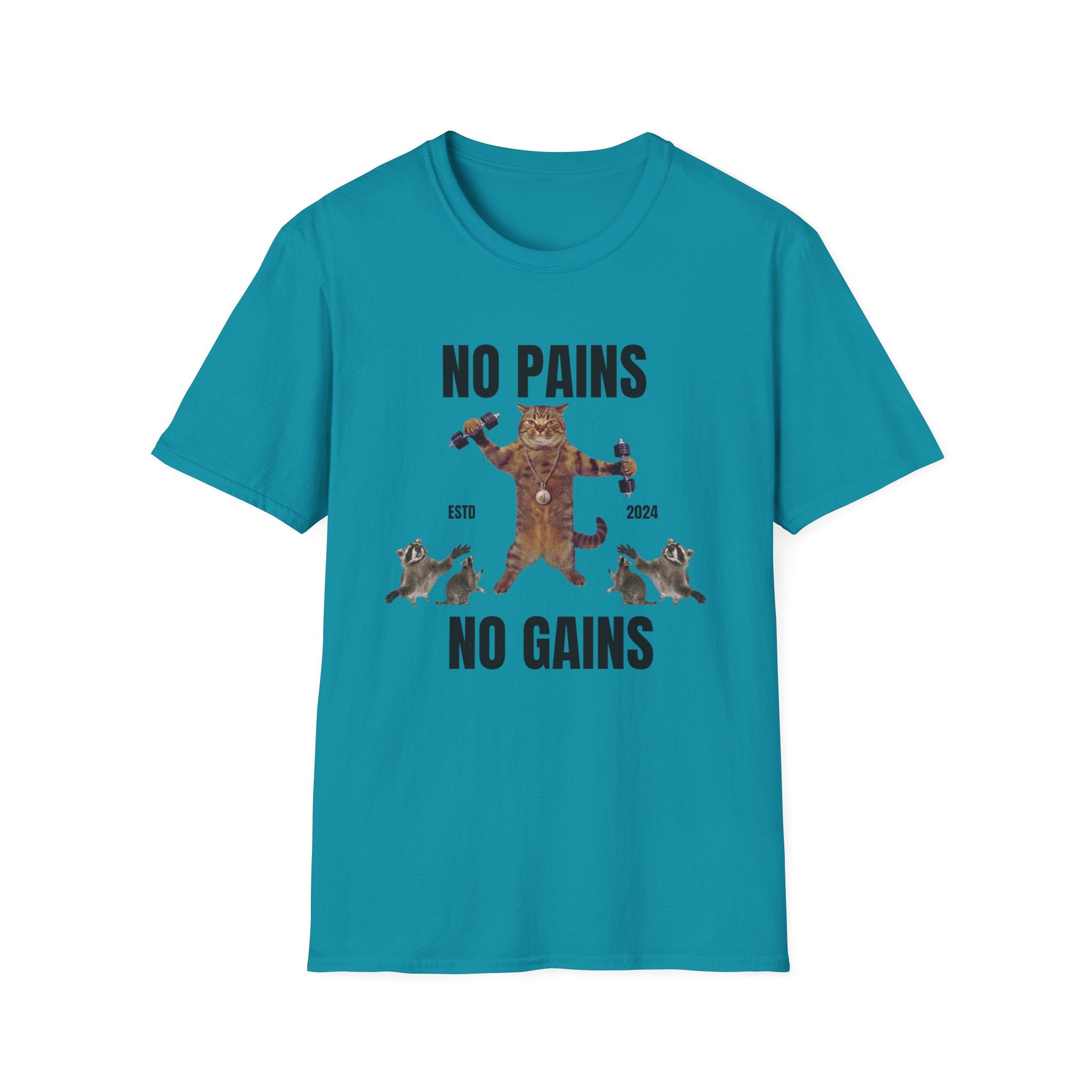 No Pains No Gains Funny Unisex Softstyle Crew Neck T-Shirt for Him, Gift for Friend