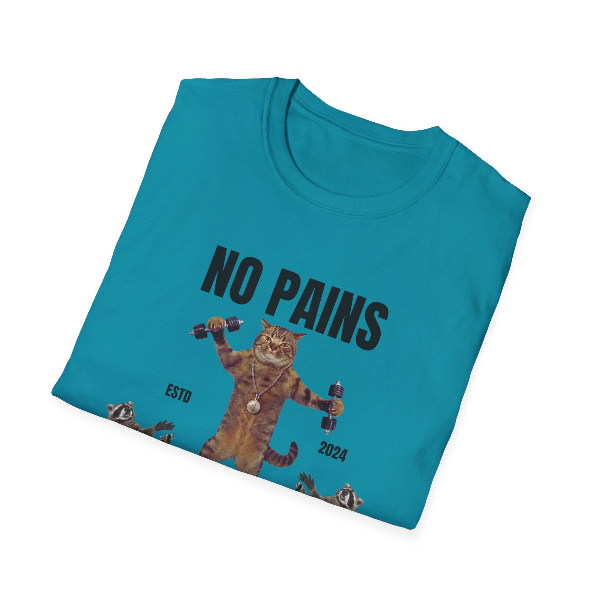 No Pains No Gains Funny Unisex Softstyle Crew Neck T-Shirt for Him, Gift for Friend