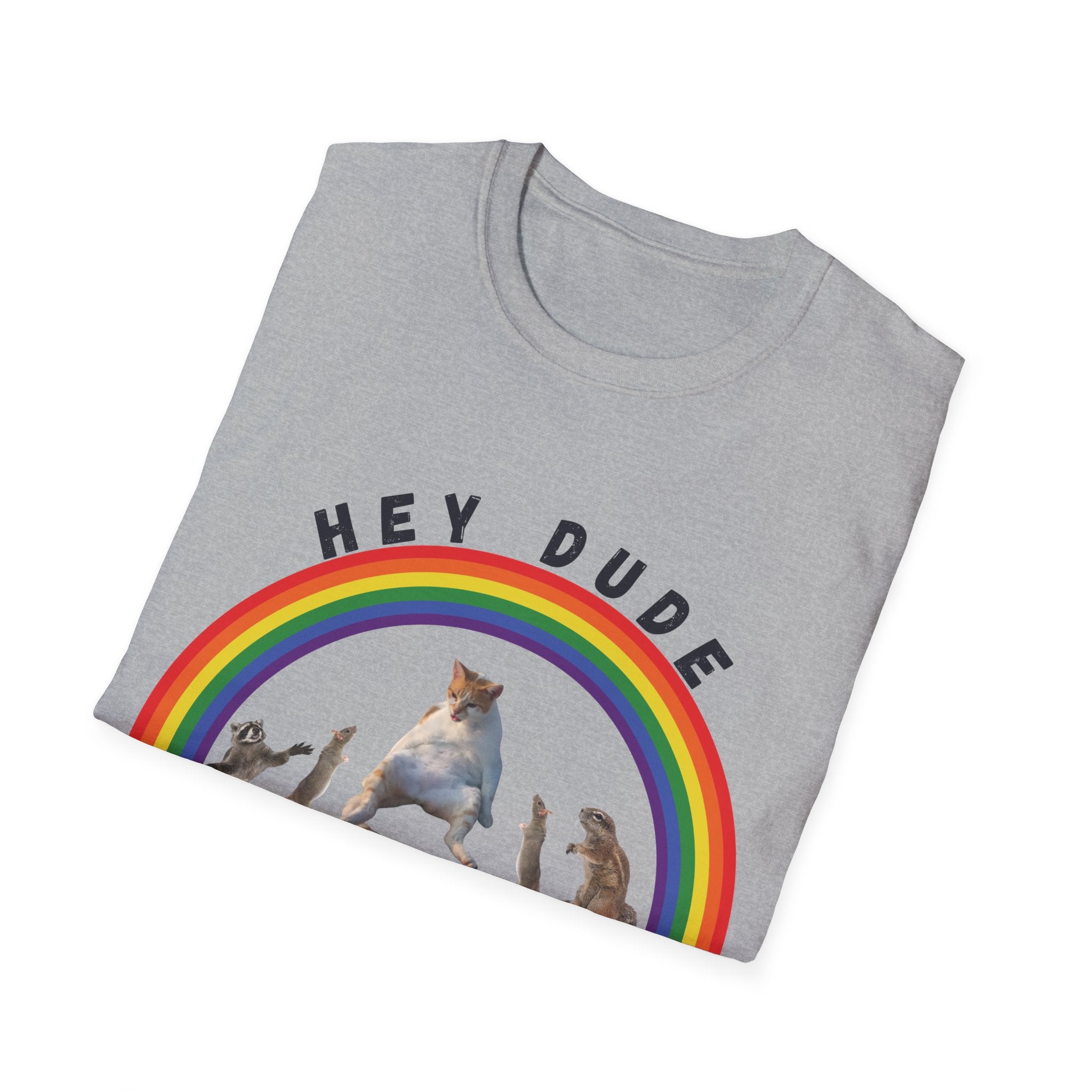 Hey Dude Funny Unisex Softstyle T-Shirt, Gift for Him, Gift for Boyfriend, Gift for Husband, Gift for Employees