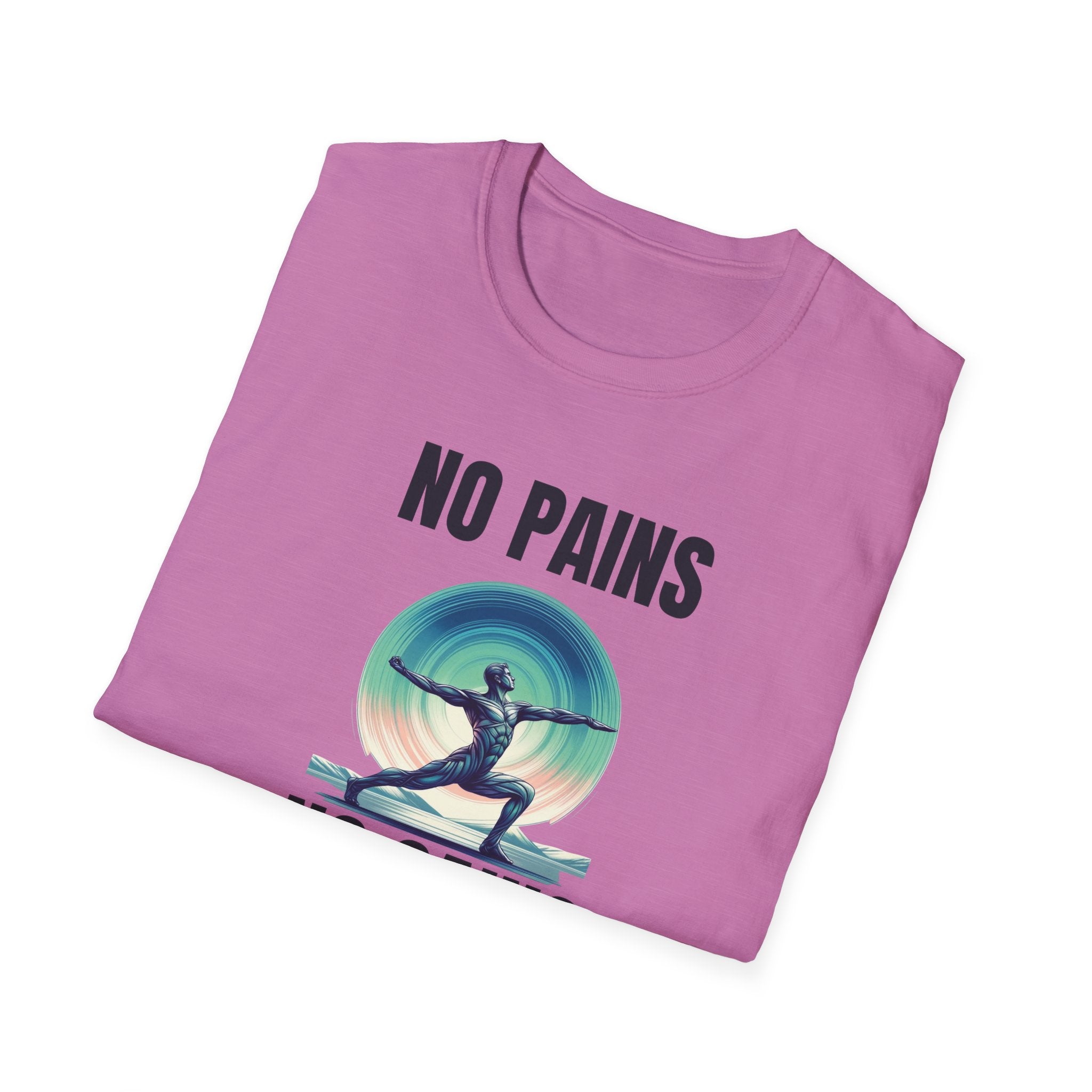 No Pains, No Gains Unisex Softstyle Crew Neck T-Shirt, Motivational T-shirt
